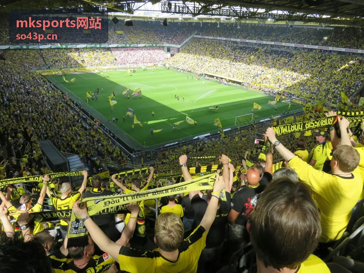 mksports网站运动装备选购与检测流程